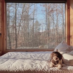 Meet your Posher, Hana